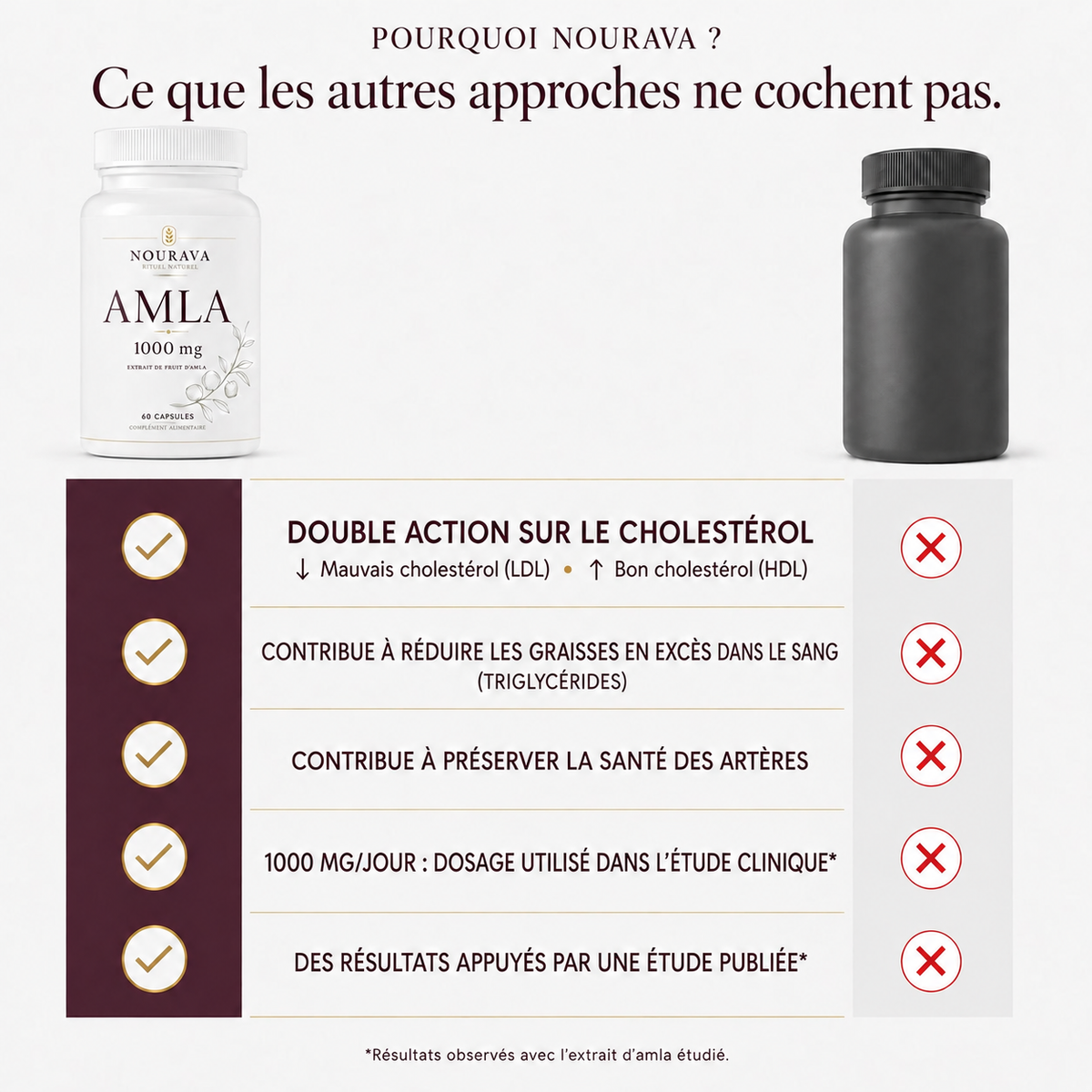 Amla | Reprenez le contrôle de votre cholestérol