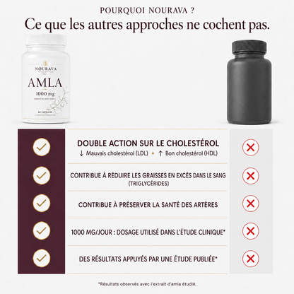 Amla | Reprenez le contrôle de votre cholestérol