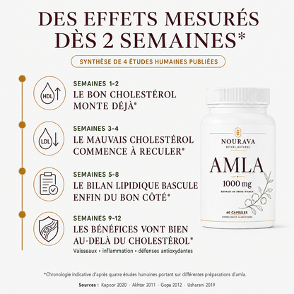 Amla | Reprenez le contrôle de votre cholestérol